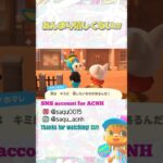 【嬉しくないw】#あつ森 #acnh #どうぶつの森 #animalcrossing #あつ森ショート #short #shortyoutube