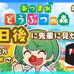 ２日後に先輩に見せる島。初見の後輩が『あつまれどうぶつの森』実況するぞ！【なな湖のあつ森】#100島