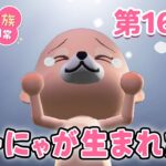 【次回予告】パンダ家族の日常 第165話「ちーにゃが生まれた日」【2024年8月9日(金) 18時～プレミア公開】