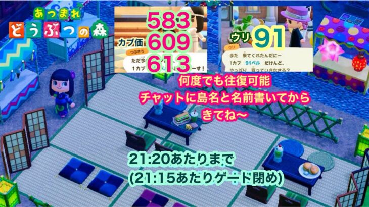 【あつ森】2024,8/18 カブ価613･609･583&ウリ91(21:20あたりまで)【チャットに島名と名前書いてからきてね〜】