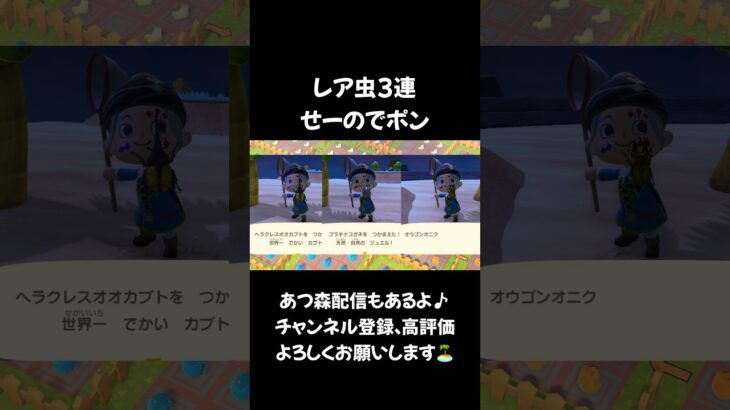 【あつ森】レア虫3連せーのでポン #あつ森 #あつまれどうぶつの森 #acnh #animalcrossing