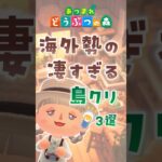 【あつ森】海外勢の凄すぎる島クリ3選 #animalcrossing #あつまれどうぶつの森 #どう森 #島クリエイト