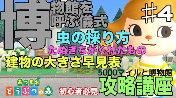 【あつ森攻略講座4】フータさんと博物館に来てもらうために！建物の大きさ一覧表、虫の採り方、生物と取り換えてもらえる道具などを一挙公開！初心者にもわかりやすく解説します【あつまれどうぶつの森】