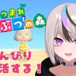 【#あつ森#ゲーム実況】のんびり島生活4日目★【新人VTuber/セツカ】