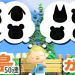 【あつ森】離島ガチャ50連！＃１【生配信】