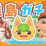 【あつ森生配信】夏だ！離島だ！ヒャクパーちゃんだ！離島50回でヒャクパーちゃんと出会う！🍊【離島ガチャ】