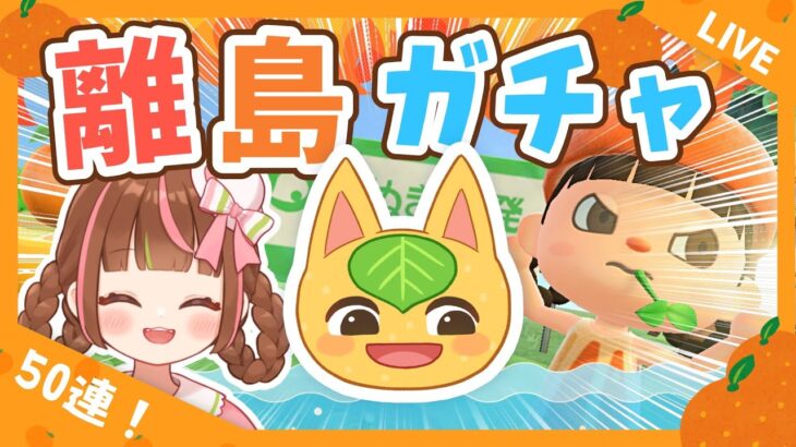 【あつ森生配信】夏だ！離島だ！ヒャクパーちゃんだ！離島50回でヒャクパーちゃんと出会う！🍊【離島ガチャ】