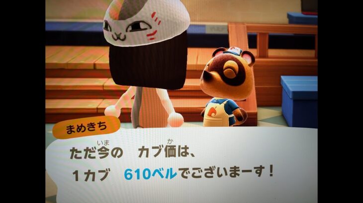 あつ森カブ610チャンネル登録で無料