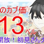 【あつ森】カブ価613ベルを無償開放。往復OK！カブ活しましょう！【カブ活】【ライブ配信】