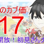 【あつ森】カブ価617,599ベルを無償開放。往復OK！カブ活しましょう！【カブ活】【ライブ配信】