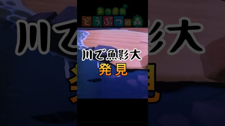 【あつ森】北半球で6月〜9月に川で釣れるお魚を久しぶりに釣りました😳#あつ森