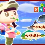 🔴【あつ森】やっと釣れた🎣ロウニンアジ｜🐟8月の魚コンプ🎣｜🐟お魚釣り🎣｜苦手なお魚釣りに挑戦｜初心者｜#151