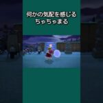 【あつ森】誰かに見られてるような気がする･･･何かの気配を感じるちゃちゃまる･･･【あつまれどうぶつの森】【どうぶつの森】【ACNH】 #short