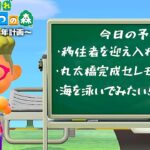 【鉄腕DUTZ～6日目～】あつ森を1ミリも知らない男が１年間でだっつ島を作る！【あつ森】