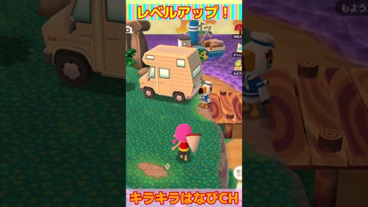 ポケ森☆レベルアップ！LV43 #あつ森　#ポケ森　#どうぶつの森 　#shorts　#レベルアップ