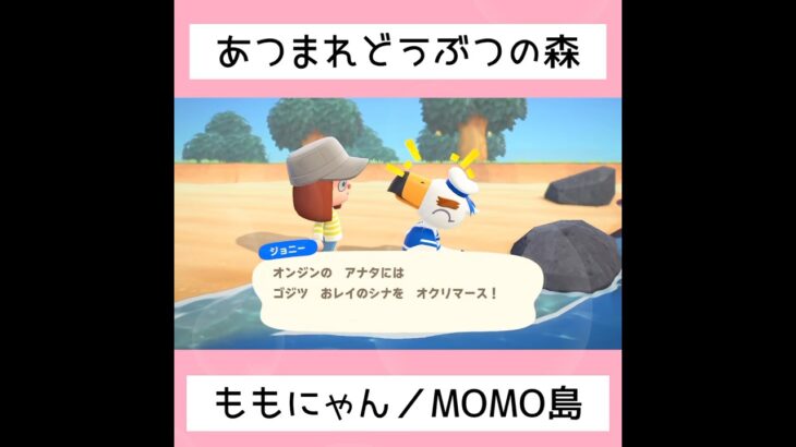 【あつ森】MOMO島へようこそ！！①①／#shorts   #あつまれどうぶつの森　#animalcrossingnewhorizons   #acnh   #동물의숲