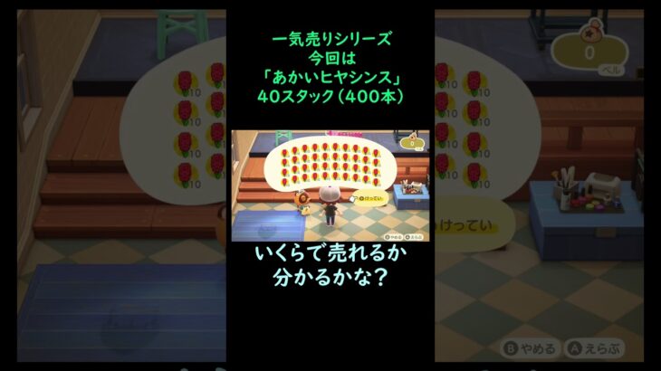 【あつ森】　一気売り シリーズ  Part239 今回は 【あかいヒヤシンス】 40スタック いくらか分かるかい？