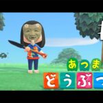 【あつまれどうぶつの森】いろいろできたので見せます＆海の幸取りたい　その④【儒烏風亭らでん #ReGLOSS 】