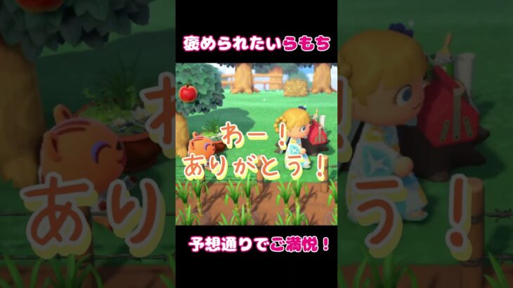 褒められたいらもち【あつ森】#Shorts #あつ森 #あつまれどうぶつの森 #ゲーム実況