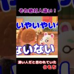 それ絶対人違いだよ！【あつ森】#Shorts #あつ森 #あつまれどうぶつの森 #ゲーム実況