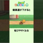 ハッケミィのまめ知識② #Shorts #あつ森 #どうぶつの森 #あつまれどうぶつの森