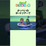 流れ星の島のまめ知識 #Shorts #あつ森 #どうぶつの森 #あつまれどうぶつの森