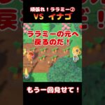 頑張れ！ララミー②　VSイナゴ【あつ森】#Shorts #あつ森 #あつまれどうぶつの森 #ゲーム実況