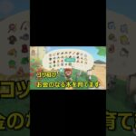 【あつ森Vlog】億り人なるために…！？～増やす力～   #あつ森 #shorts #crossing #animalcrossing