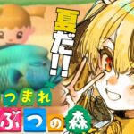 【あつ森】魚全種類集めたい【あつまれどうぶつの森】【初見さん大歓迎🐥】【Vtuber/ぴよし】