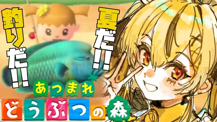 【あつ森】魚全種類集めたい【あつまれどうぶつの森】【初見さん大歓迎🐥】【Vtuber/ぴよし】