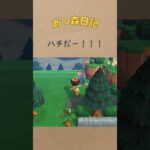 ハチだ！！教訓を生かしてリベンジだ！#あつ森 #あつまれどうぶつの森 #acnh #shorts #gaming