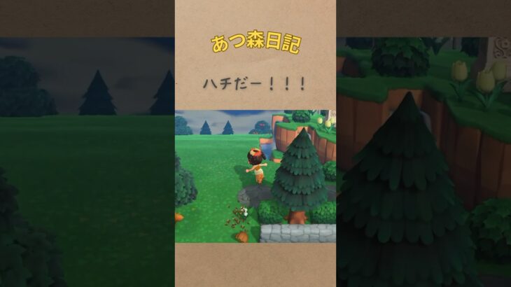 ハチだ！！教訓を生かしてリベンジだ！#あつ森 #あつまれどうぶつの森 #acnh #shorts #gaming