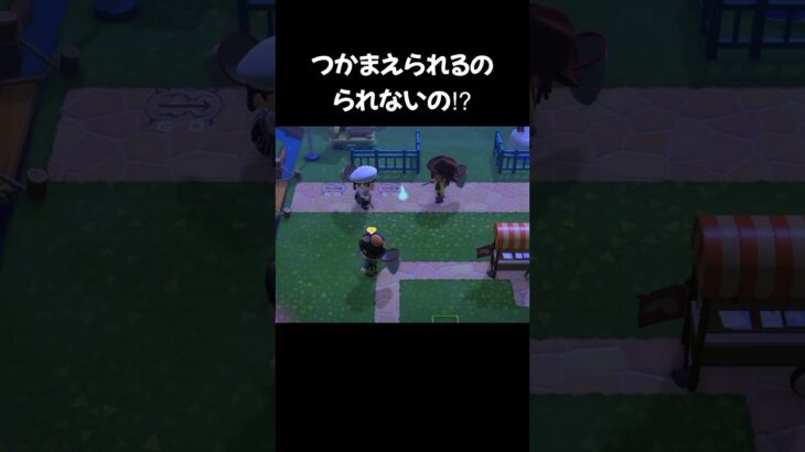 【あつ森】捕まえられるの？られないの⁉︎ #あつ森 #あつまれどうぶつの森 #animalcrossing #acnh