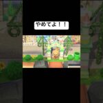 【あつ森】島クリの成果を見ていたらからかわれました【あつまれどうぶつの森】#shorts #ゲーム実況 #どうぶつの森