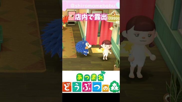 【あつ森】危うく捕まるところだった #shorts #あつ森 #ゲーム実況