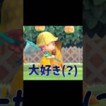 謎の告白…！？！？！？#あつ森 #どうぶつの森 #あつまれどうぶつの森 #どう森 #shortvideo #shorts #short