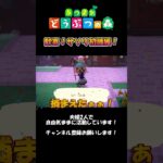 【速報】今週の夫婦的あつ森ニュース #ゲーム #switch #任天堂 #任天堂switch #あつ森 #animalcrossing