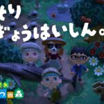 【あつ森配信】花火の音を聞きながらおひとり島整備／作業配信