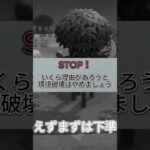 【あつ森】健斗の動画で学ぶ常識