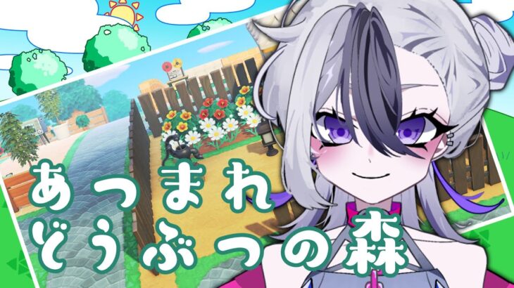 【あつまれどうぶつの森】あつ森やるしかねえ【雑談】