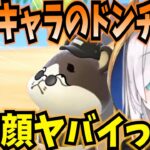 【あつ森】とにかく推しキャラのドンチャンにかまいたいアルス【にじさんじ切り抜き/アルス・アルマル】