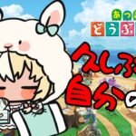 【あつまれ どうぶつの森】５億年ぶりに帰ってみた🏠【不知火フレア/ホロライブ】