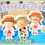 【あつ森】最後の住民厳選に向けてマイル集め♪/作業配信【あつまれどうぶつの森】