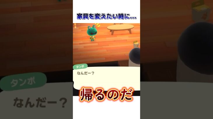 みんなもよくやる？🏠　#ゲーム実況 #ゲーム配信 #あつ森