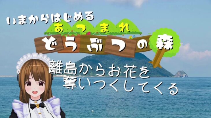 【あつまれ どうぶつの森】離島ガチャして虫取り大会に備えてお花を植える【あつ森】