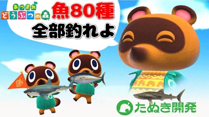 あつ森　最初から初めて魚図鑑コンプリートするまで終わらない放送 リベンジ