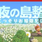 【あつ森】深夜のこっそり島整備！眠れない人おいで〜🐺