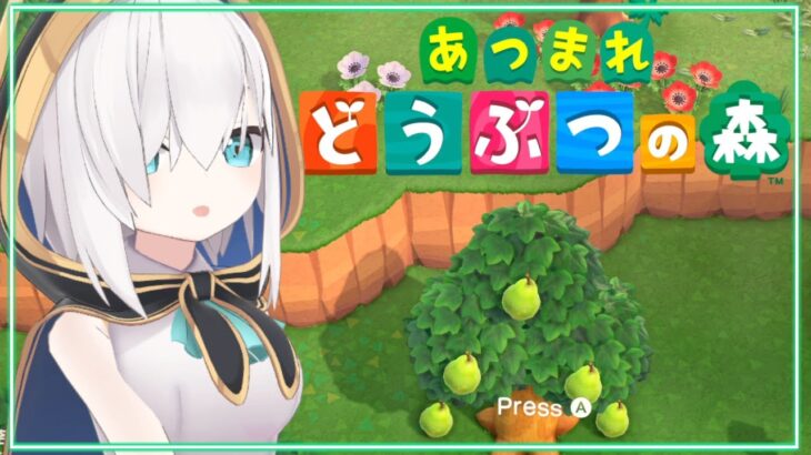 【 どうぶつの森-あつ森- 】みんなで花火みようか　ハッピーホームパラダイス【アルス・アルマル/にじさんじ】