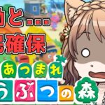 【あつ森】夕暮れのにゃんこさん配信【雑談配信】