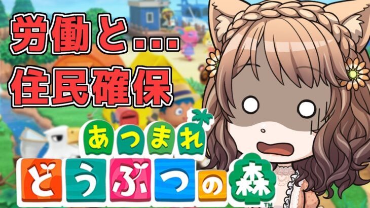 【あつ森】夕暮れのにゃんこさん配信【雑談配信】